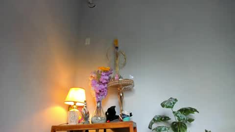 Snapshot of lucian_davii chatting on April 22, 2026, 2:18 pm Pirulo online show from April 22, 2026, 2:18 pm