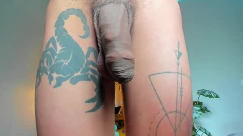 Snapshot of lucian_davii chatting on May 29, 2026, 1:09 pm Pirulo online show from May 29, 2026, 1:09 pm