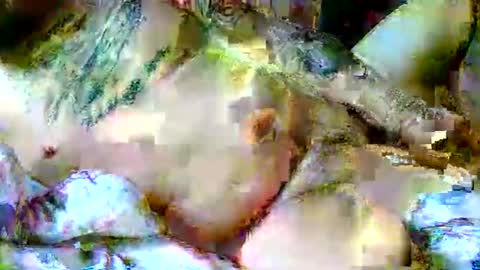 lucky134u online show from April 6, 2026, 11:44 am