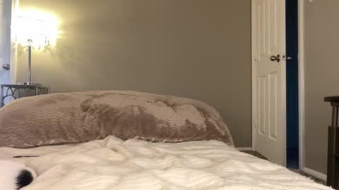 Lucy online show from November 25, 2025, 9:59 pm