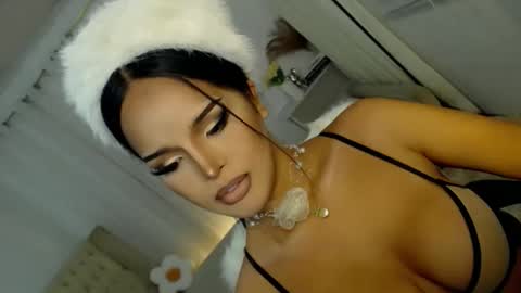    MONA    online show from December 23, 2025, 7:17 am