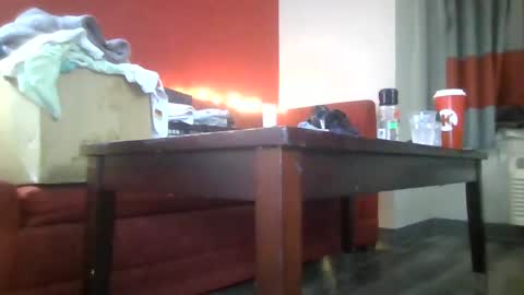 Snapshot of lucyloveslookers78240 chatting on January 15, 2025, 12:04 pm Lucy Loves Lookers online show from January 15, 2025, 12:04 pm