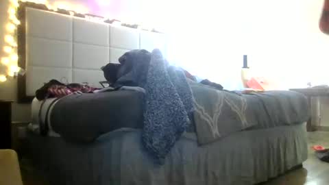 Snapshot of lucyloveslookers78240 chatting on January 20, 2025, 1:28 am Lucy Loves Lookers online show from January 20, 2025, 1:28 am