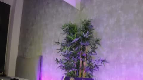 lucyrayy online show from February 4, 2026, 10:58 pm