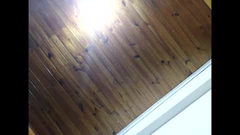 Snapshot of luis2988z chatting on April 25, 2026, 7:11 am Hairyman online show from April 25, 2026, 7:11 am