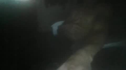 luizs23 online show from November 5, 2025, 5:07 am