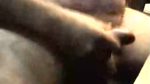 lukestarfckr online show from November 2, 2025, 9:22 am