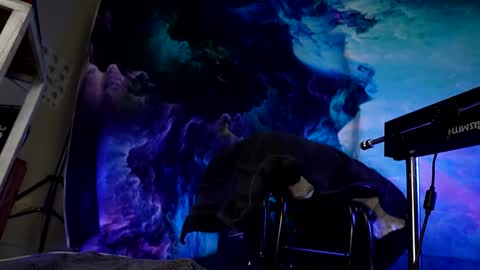 lukewilde online show from February 24, 2025, 11:32 am