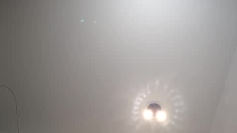 Ludo online show from January 21, 2025, 10:30 pm