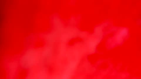 Snapshot of luna_analya chatting on May 10, 2026, 5:40 pm luna_analya online show from May 10, 2026, 5:40 pm
