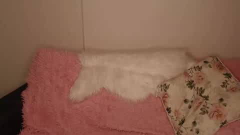 Luna online show from December 20, 2025, 2:35 pm