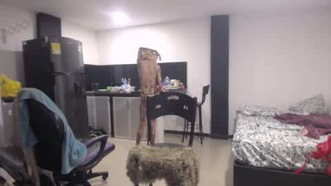 Luna online show from March 7, 2025, 7:05 pm