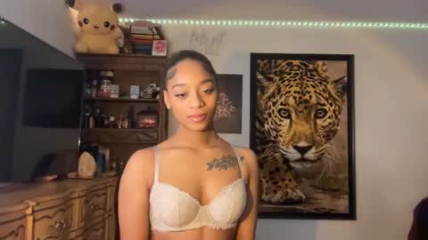 Snapshot of lunaa_11 chatting on December 13, 2024, 6:53 am lunaa_11 online show from December 13, 2024, 6:53 am