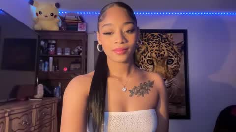 Snapshot of lunaa_11 chatting on March 6, 2025, 9:20 pm lunaa_11 online show from March 6, 2025, 9:20 pm