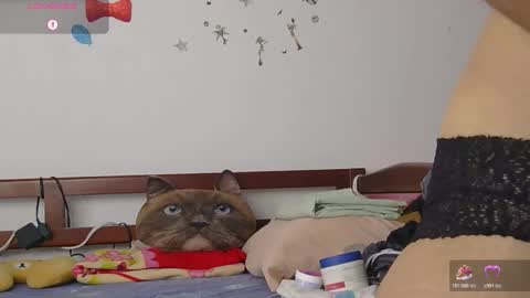 Snapshot of lunamoon_17 chatting on October 21, 2025, 6:08 pm LUNA online show from October 21, 2025, 6:08 pm