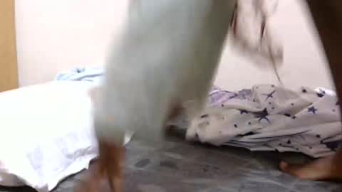 lunargoddess45 online show from March 3, 2026, 3:12 am