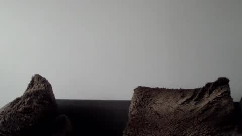 Snapshot of lupine_666 chatting on January 5, 2025, 10:32 am Lupine online show from January 5, 2025, 10:32 am