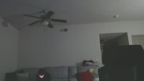 LustfulLives online show from December 14, 2024, 6:35 am