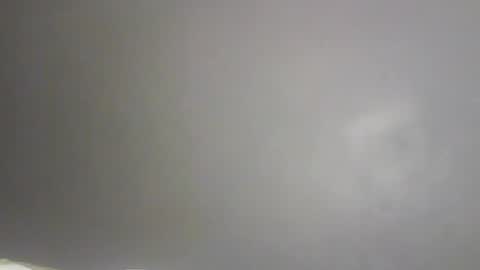 Bee Bee online show from February 9, 2026, 1:48 pm