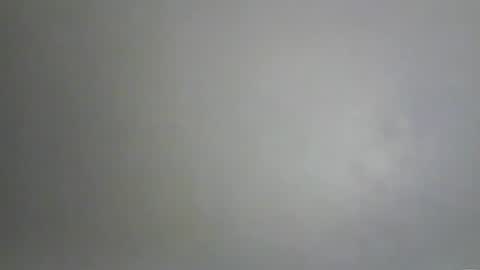 Bee Bee online show from February 10, 2026, 4:11 pm