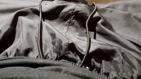 Snapshot of lvacd11 chatting on September 26, 2025, 11:25 am Lvac11 online show from September 26, 2025, 11:25 am