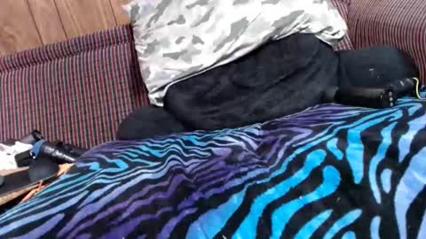 Lyke2fuck online show from February 6, 2025, 11:32 am