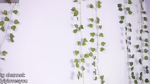 Lyly   online show from January 17, 2026, 5:45 am