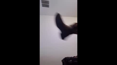 m2tonerfux online show from April 25, 2026, 5:21 am