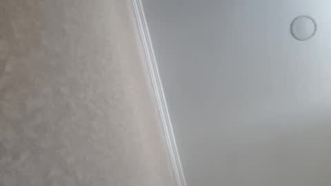 Snapshot of machine2291 chatting on February 23, 2026, 9:39 am Tchia online show from February 23, 2026, 9:39 am