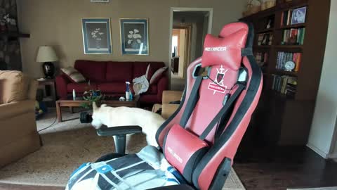 machinecumkelly69 online show from September 21, 2025, 6:09 pm