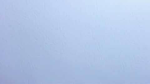  madame lilith  online show from January 28, 2025, 2:21 pm