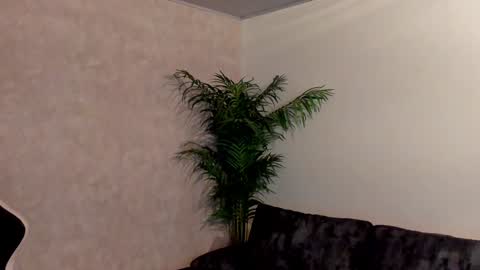 Snapshot of maddox_santana chatting on December 3, 2024, 12:57 am Maddox Santana online show from December 3, 2024, 12:57 am