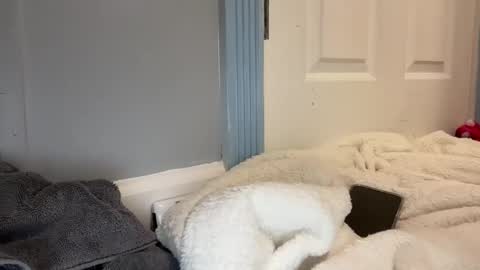 madibaby999 online show from January 15, 2026, 10:24 pm