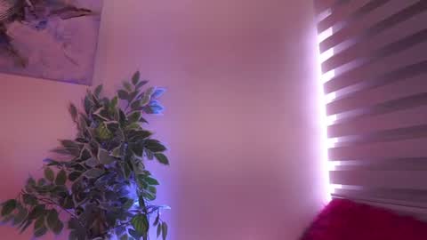 Snapshot of madison_mayer chatting on July 8, 2026, 12:31 pm Madison online show from July 8, 2026, 12:31 pm