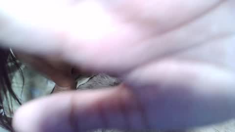 maegold69 online show from January 23, 2025, 1:24 pm