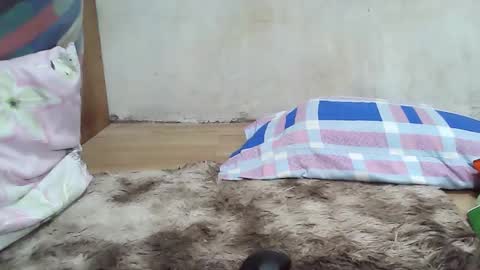 maegold69 online show from January 8, 2026, 4:53 pm