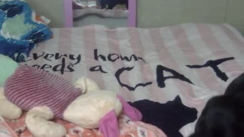 maferchavez88 online show from February 9, 2026, 2:15 am