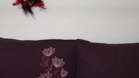 Snapshot of magic_door_open chatting on October 30, 2025, 9:11 am magic door open online show from October 30, 2025, 9:11 am