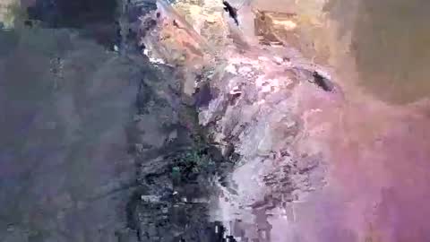 maho0 online show from December 13, 2024, 7:36 am