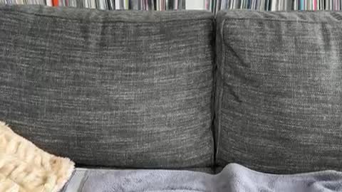 majortazer online show from December 3, 2024, 9:23 pm