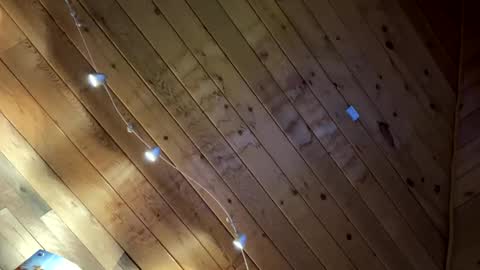 makeyousquirt1969 online show from February 10, 2026, 7:56 am