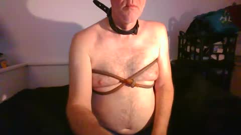 Snapshot of malebdsmslut chatting on January 29, 2025, 9:12 am CommandbondageNipples bondage kink submissive lovense slave wgear. modequiethvyBondage If Password goldfish online show from January 29, 2025, 9:12 am