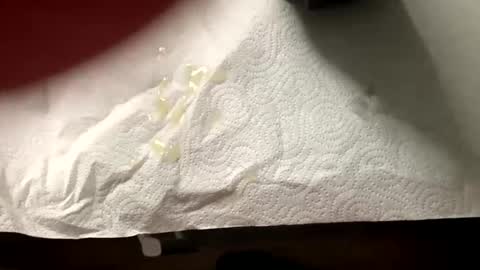 Snapshot of man4you888 chatting on February 20, 2025, 3:08 pm man4you888 online show from February 20, 2025, 3:08 pm