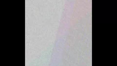 manatee bear online show from September 17, 2025, 3:08 am