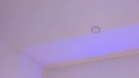 Mara online show from February 1, 2025, 3:41 am