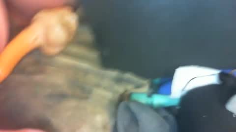 Snapshot of marcsexxy chatting on January 1, 2025, 10:35 pm Marc online show from January 1, 2025, 10:35 pm