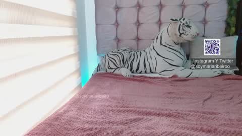 Snapshot of mariaribeiro chatting on January 7, 2026, 7:49 pm mariaribeiro online show from January 7, 2026, 7:49 pm