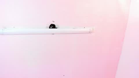 Snapshot of marie_harper chatting on March 4, 2025, 6:37 am Marie online show from March 4, 2025, 6:37 am