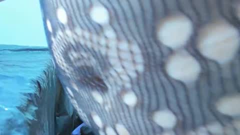 marilynwett online show from March 21, 2026, 1:54 am