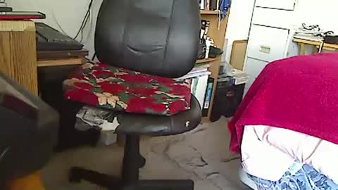 MarioDavidAndybros online show from January 1, 2025, 7:43 pm